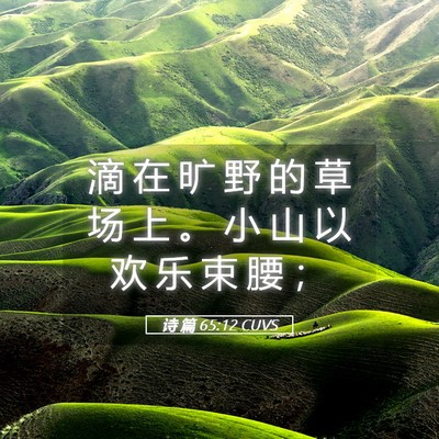 Picture 05 - 诗 篇 65:12 CUVS - 滴 在 旷 野 的 草 场 上 。 小 山 以 - Bible Verse Picture
