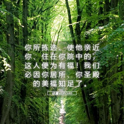 Picture 05 - 诗 篇 65:4 CUVS - 你 所 拣 选 、 使 他 亲 近 你 、 住 - Bible Verse Picture