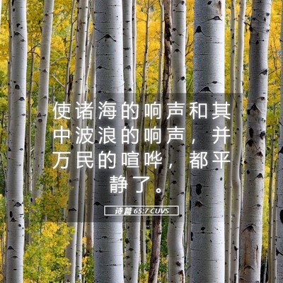 Picture 05 - 诗 篇 65:7 CUVS - 使 诸 海 的 响 声 和 其 中 波 浪 的 - Bible Verse Picture