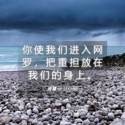 Picture 05 - 诗 篇 66:11 CUVS - 你 使 我 们 进 入 网 罗 ， 把 重 担 - Bible Verse Picture