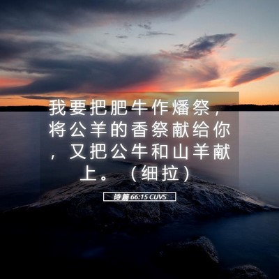 Picture 05 - 诗 篇 66:15 CUVS - 我 要 把 肥 牛 作 燔 祭 ， 将 公 羊 - Bible Verse Picture