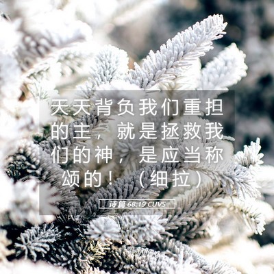 Picture 05 - 诗 篇 68:19 CUVS - 天 天 背 负 我 们 重 担 的 主 ， 就 - Bible Verse Picture