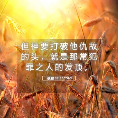 Picture 05 - 诗 篇 68:21 CUVS - 但 神 要 打 破 他 仇 敌 的 头 ， 就 - Bible Verse Picture