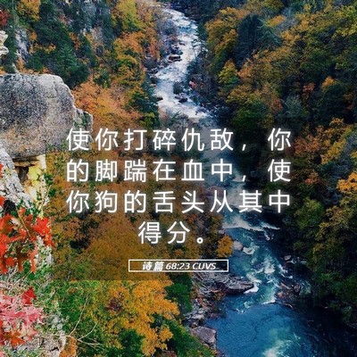 Picture 05 - 诗 篇 68:23 CUVS - 使 你 打 碎 仇 敌 ， 你 的 脚 踹 在 - Bible Verse Picture