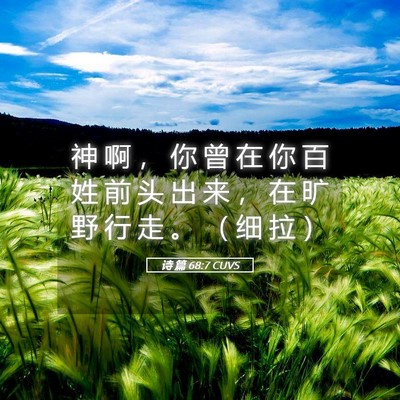 Picture 05 - 诗 篇 68:7 CUVS - 神 啊 ， 你 曾 在 你 百 姓 前 头 出 - Bible Verse Picture