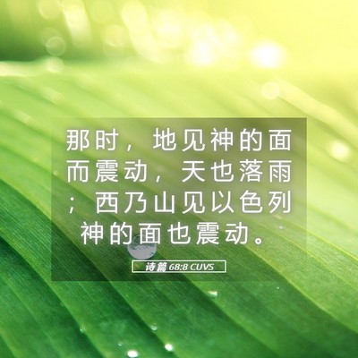 Picture 05 - 诗 篇 68:8 CUVS - 那 时 ， 地 见 神 的 面 而 震 动 ， - Bible Verse Picture