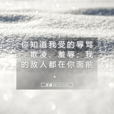 Picture 05 - 诗 篇 69:19 CUVS - 你 知 道 我 受 的 辱 骂 、 欺 凌 、 - Bible Verse Picture
