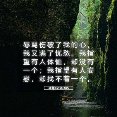 Picture 05 - 诗 篇 69:20 CUVS - 辱 骂 伤 破 了 我 的 心 ， 我 又 满 - Bible Verse Picture