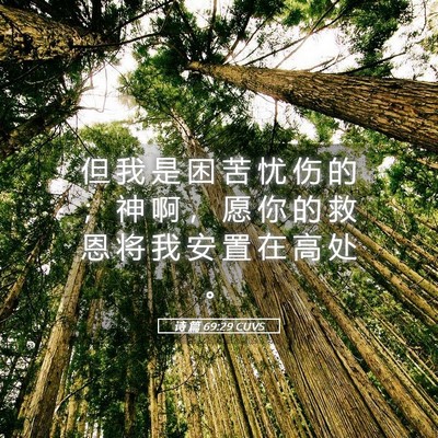 Picture 05 - 诗 篇 69:29 CUVS - 但 我 是 困 苦 忧 伤 的 ； 神 啊 ， - Bible Verse Picture