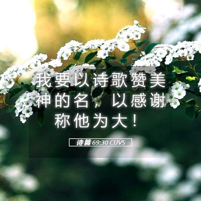 Picture 05 - 诗 篇 69:30 CUVS - 我 要 以 诗 歌 赞 美 神 的 名 ， 以 - Bible Verse Picture