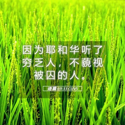 Picture 05 - 诗 篇 69:33 CUVS - 因 为 耶 和 华 听 了 穷 乏 人 ， 不 - Bible Verse Picture