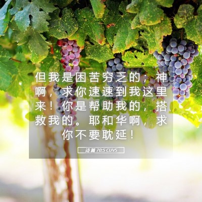 Picture 05 - 诗 篇 70:5 CUVS - 但 我 是 困 苦 穷 乏 的 ； 神 啊 ， - Bible Verse Picture