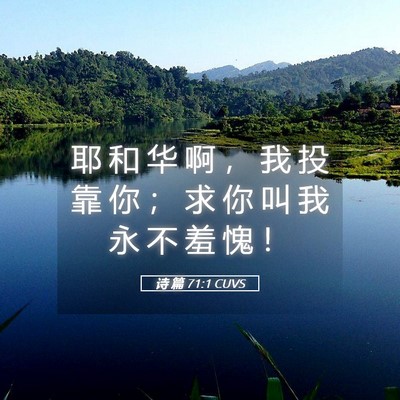 Picture 05 - 诗 篇 71:1 CUVS - 耶 和 华 啊 ， 我 投 靠 你 ； 求 你 - Bible Verse Picture