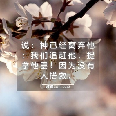 Picture 05 - 诗 篇 71:11 CUVS - 说 ： 神 已 经 离 弃 他 ； 我 们 追 - Bible Verse Picture