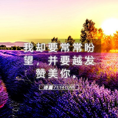Picture 05 - 诗 篇 71:14 CUVS - 我 却 要 常 常 盼 望 ， 并 要 越 发 - Bible Verse Picture