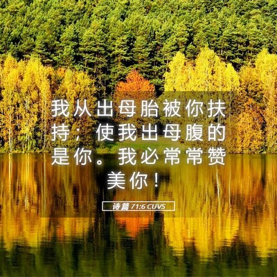 Picture 05 - 诗 篇 71:6 CUVS - 我 从 出 母 胎 被 你 扶 持 ； 使 我 - Bible Verse Picture