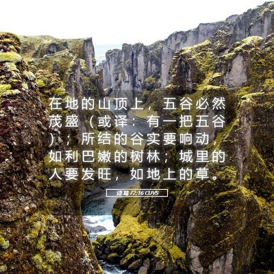 Picture 05 - 诗 篇 72:16 CUVS - 在 地 的 山 顶 上 ， 五 谷 必 然 茂 - Bible Verse Picture