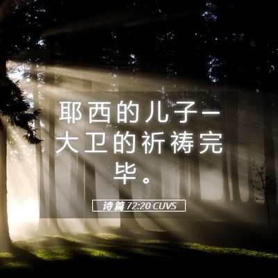 Picture 05 - 诗 篇 72:20 CUVS - 耶 西 的 儿 子 ─ 大 卫 的 祈 祷 完 - Bible Verse Picture