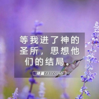 Picture 05 - 诗 篇 73:17 CUVS - 等 我 进 了 神 的 圣 所 ， 思 想 他 - Bible Verse Picture