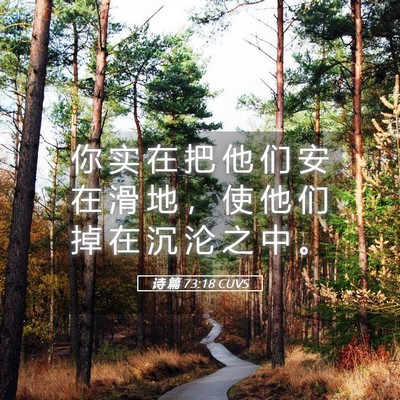 Picture 05 - 诗 篇 73:18 CUVS - 你 实 在 把 他 们 安 在 滑 地 ， 使 - Bible Verse Picture