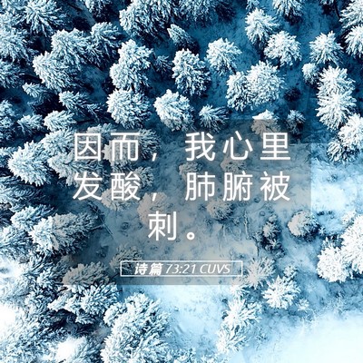 Picture 05 - 诗 篇 73:21 CUVS - 因 而 ， 我 心 里 发 酸 ， 肺 腑 被 - Bible Verse Picture