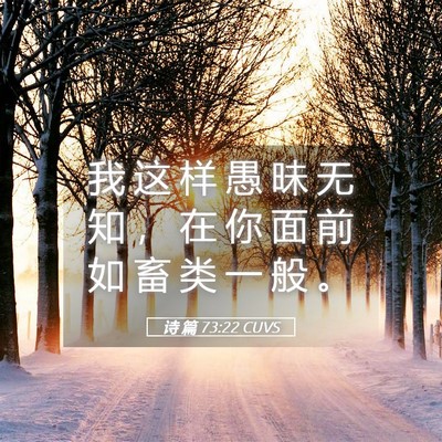 Picture 05 - 诗 篇 73:22 CUVS - 我 这 样 愚 昧 无 知 ， 在 你 面 前 - Bible Verse Picture