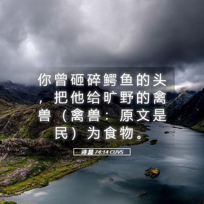 Picture 05 - 诗 篇 74:14 CUVS - 你 曾 砸 碎 鳄 鱼 的 头 ， 把 他 给 - Bible Verse Picture