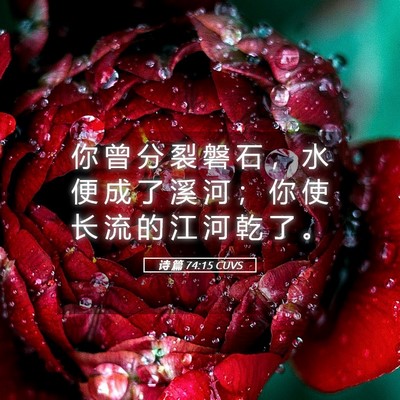 Picture 05 - 诗 篇 74:15 CUVS - 你 曾 分 裂 磐 石 ， 水 便 成 了 溪 - Bible Verse Picture