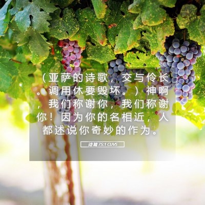 Picture 05 - 诗 篇 75:1 CUVS - （ 亚 萨 的 诗 歌 ， 交 与 伶 长 。 - Bible Verse Picture