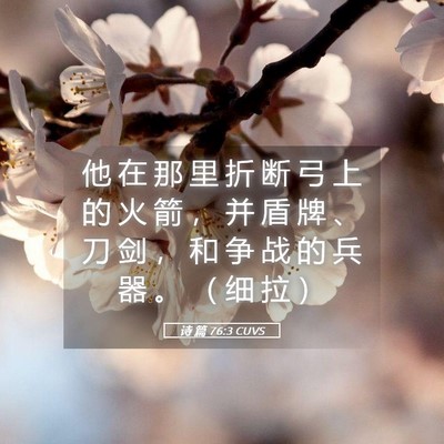 Picture 05 - 诗 篇 76:3 CUVS - 他 在 那 里 折 断 弓 上 的 火 箭 ， - Bible Verse Picture