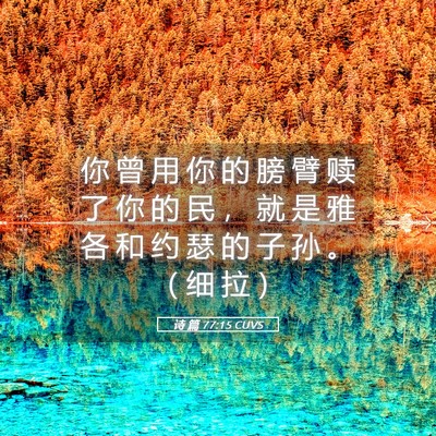 Picture 05 - 诗 篇 77:15 CUVS - 你 曾 用 你 的 膀 臂 赎 了 你 的 民 - Bible Verse Picture