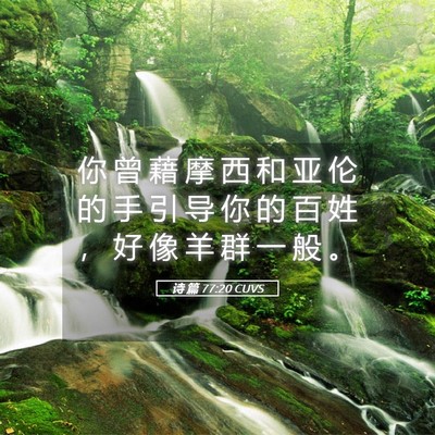 Picture 05 - 诗 篇 77:20 CUVS - 你 曾 藉 摩 西 和 亚 伦 的 手 引 导 - Bible Verse Picture