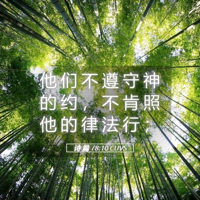 Picture 05 - 诗 篇 78:10 CUVS - 他 们 不 遵 守 神 的 约 ， 不 肯 照 - Bible Verse Picture