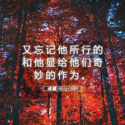 Picture 05 - 诗 篇 78:11 CUVS - 又 忘 记 他 所 行 的 和 他 显 给 他 - Bible Verse Picture