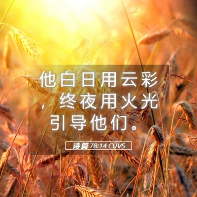 Picture 05 - 诗 篇 78:14 CUVS - 他 白 日 用 云 彩 ， 终 夜 用 火 光 - Bible Verse Picture