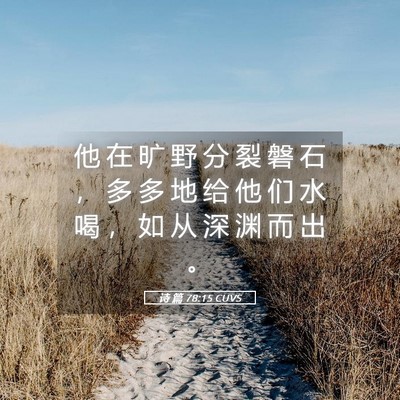 Picture 05 - 诗 篇 78:15 CUVS - 他 在 旷 野 分 裂 磐 石 ， 多 多 地 - Bible Verse Picture