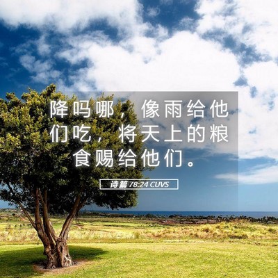 Picture 05 - 诗 篇 78:24 CUVS - 降 吗 哪 ， 像 雨 给 他 们 吃 ， 将 - Bible Verse Picture