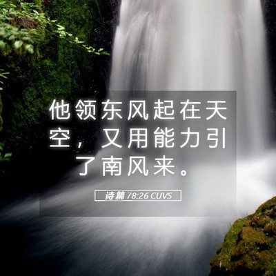 Picture 05 - 诗 篇 78:26 CUVS - 他 领 东 风 起 在 天 空 ， 又 用 能 - Bible Verse Picture