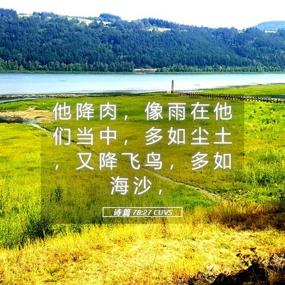 Picture 05 - 诗 篇 78:27 CUVS - 他 降 肉 ， 像 雨 在 他 们 当 中 ， - Bible Verse Picture