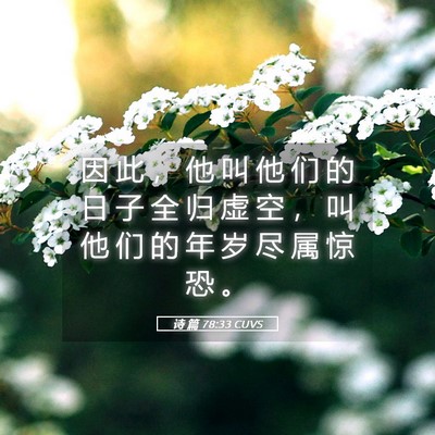 Picture 05 - 诗 篇 78:33 CUVS - 因 此 ， 他 叫 他 们 的 日 子 全 归 - Bible Verse Picture