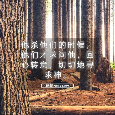 Picture 05 - 诗 篇 78:34 CUVS - 他 杀 他 们 的 时 候 ， 他 们 才 求 - Bible Verse Picture