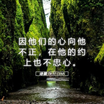 Picture 05 - 诗 篇 78:37 CUVS - 因 他 们 的 心 向 他 不 正 ， 在 他 - Bible Verse Picture
