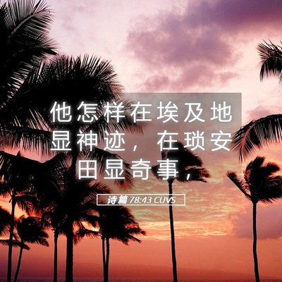 Picture 05 - 诗 篇 78:43 CUVS - 他 怎 样 在 埃 及 地 显 神 迹 ， 在 - Bible Verse Picture