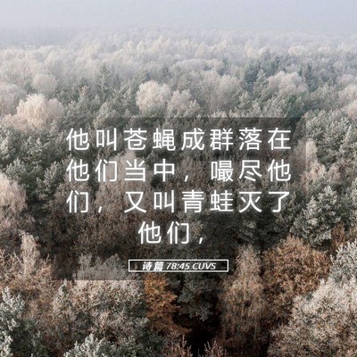 Picture 05 - 诗 篇 78:45 CUVS - 他 叫 苍 蝇 成 群 落 在 他 们 当 中 - Bible Verse Picture