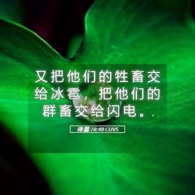 Picture 05 - 诗 篇 78:48 CUVS - 又 把 他 们 的 牲 畜 交 给 冰 雹 ， - Bible Verse Picture