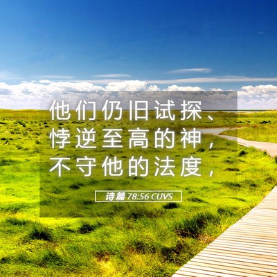 Picture 05 - 诗 篇 78:56 CUVS - 他 们 仍 旧 试 探 、 悖 逆 至 高 的 - Bible Verse Picture