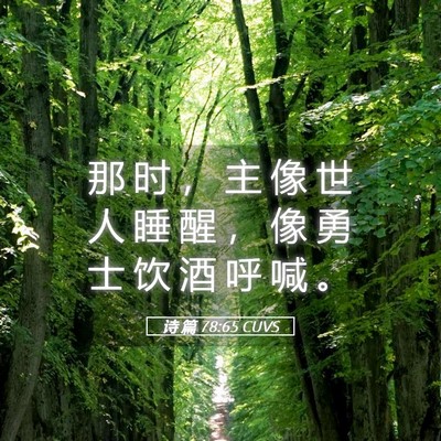 Picture 05 - 诗 篇 78:65 CUVS - 那 时 ， 主 像 世 人 睡 醒 ， 像 勇 - Bible Verse Picture