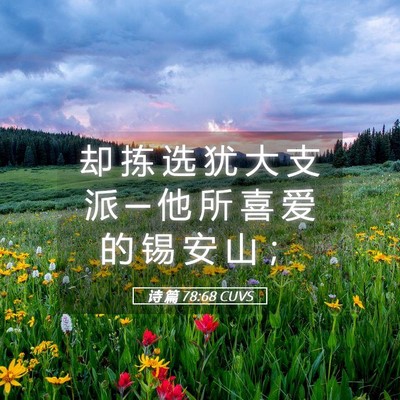 Picture 05 - 诗 篇 78:68 CUVS - 却 拣 选 犹 大 支 派 ─ 他 所 喜 爱 - Bible Verse Picture