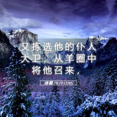 Picture 05 - 诗 篇 78:70 CUVS - 又 拣 选 他 的 仆 人 大 卫 ， 从 羊 - Bible Verse Picture