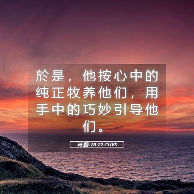 Picture 05 - 诗 篇 78:72 CUVS - 於 是 ， 他 按 心 中 的 纯 正 牧 养 - Bible Verse Picture